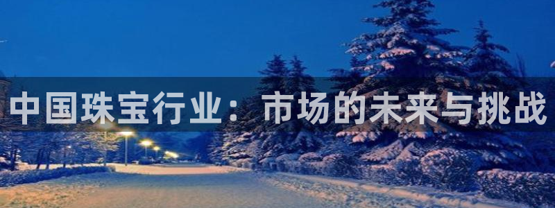新宝5直属：中国珠宝行业：市场的未来与挑战