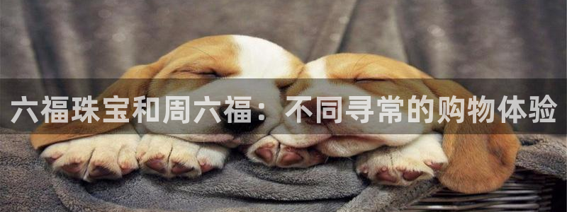 新宝5app手机下载：六福珠宝和周六福：不同寻常的购物体验