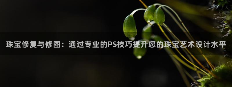 新宝5是谁：珠宝修复与修图：通过专业的PS技巧提升您的珠宝艺术设计水平