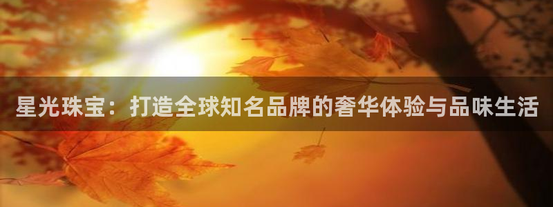 新宝5线路登录：星光珠宝：打造全球知名品牌的奢华体验与品味生活