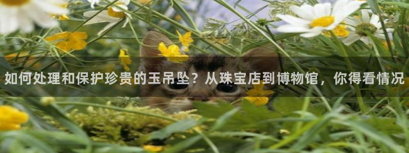 新宝5代理注册：如何处理和保护珍贵的玉吊坠？从珠宝店到博物馆，你得看情况