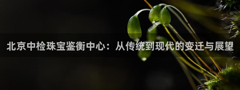 新宝5官网app：北京中检珠宝鉴衡中心：从传统到现代的变迁与展望