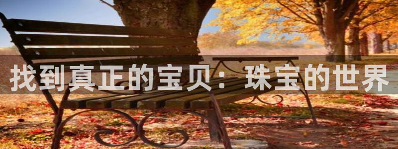 新宝奇迹GG5：找到真正的宝贝：珠宝的世界