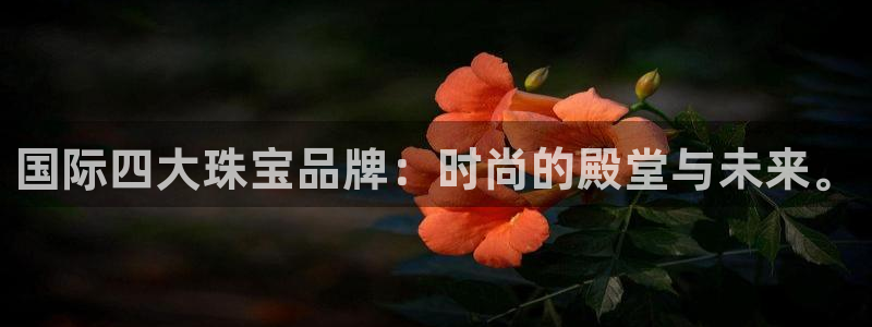 下载新宝5：国际四大珠宝品牌：时尚的殿堂与未来。