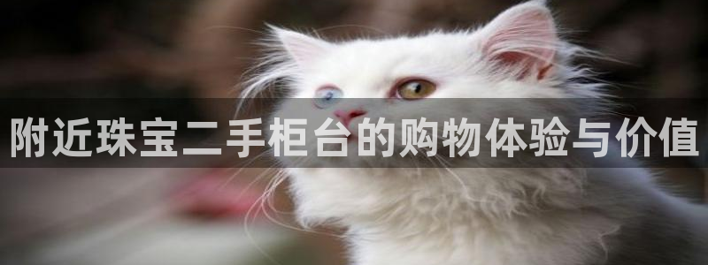 新宝5为啥开：附近珠宝二手柜台的购物体验与价值