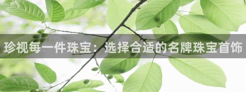 新宝5官网平台：珍视每一件珠宝：选择合适的名牌珠宝首饰
