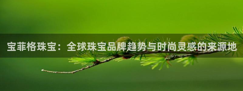 新宝5是什么样子的：宝菲格珠宝：全球珠宝品牌趋势与时尚灵感的来源地