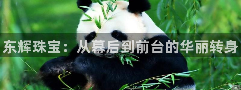 新宝_5：东辉珠宝：从幕后到前台的华丽转身