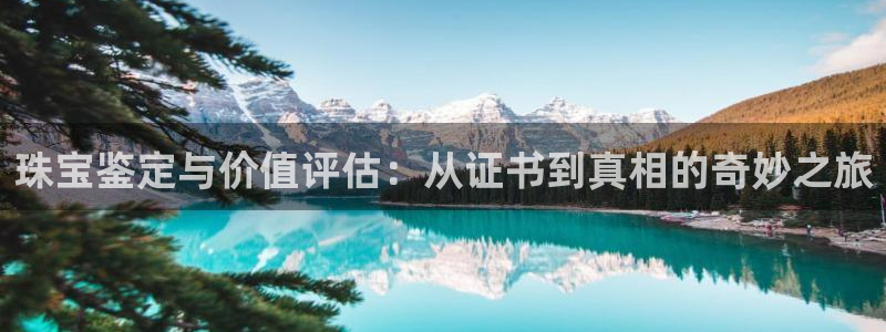 新宝5d：珠宝鉴定与价值评估：从证书到真相的奇妙之旅