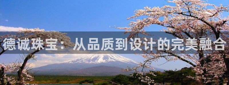 新宝5开好：德诚珠宝：从品质到设计的完美融合