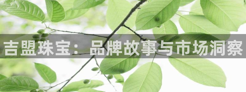 新宝5客户端登录：吉盟珠宝：品牌故事与市场洞察