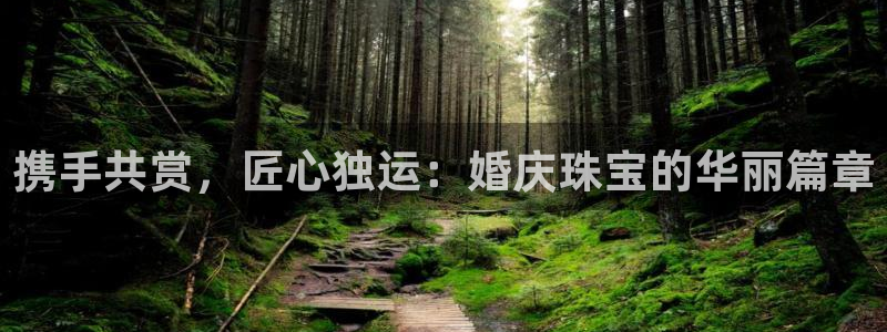 新宝5 代理：携手共赏，匠心独运：婚庆珠宝的华丽篇章