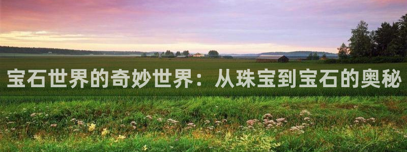 新宝5-测速：宝石世界的奇妙世界：从珠宝到宝石的奥秘