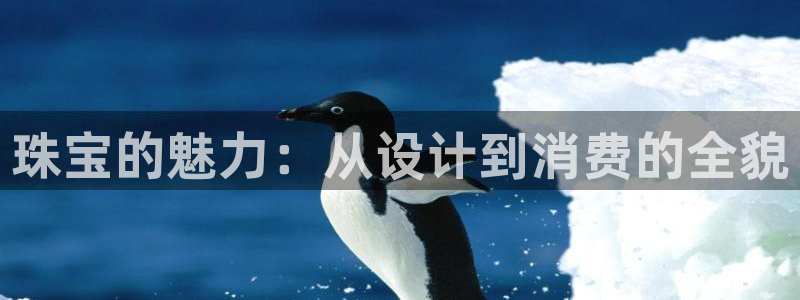 新宝骏rc5W：珠宝的魅力：从设计到消费的全貌