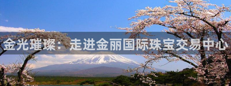 i新宝5：金光璀璨：走进金丽国际珠宝交易中心