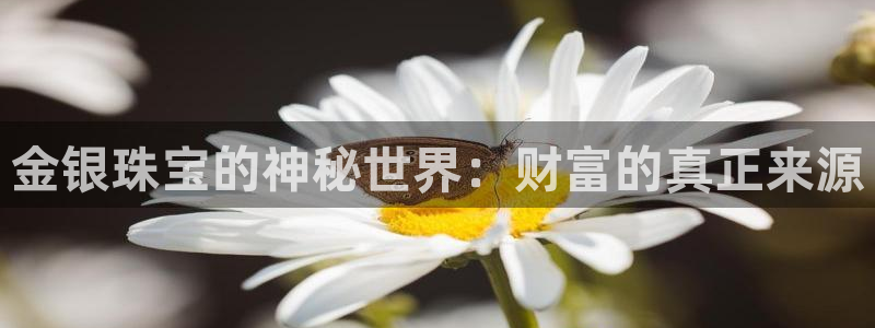 新宝5苹果手机下载：金银珠宝的神秘世界：财富的真正来源