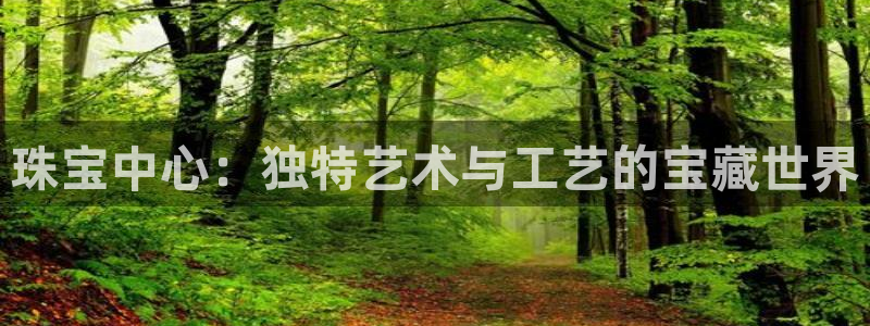 新宝5_测：珠宝中心：独特艺术与工艺的宝藏世界