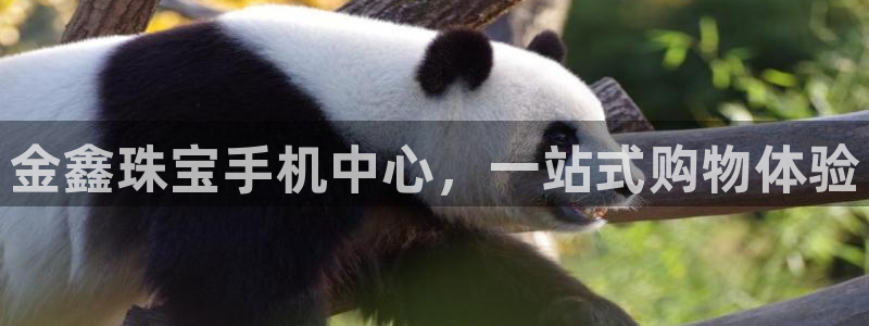 新宝5娱乐方：金鑫珠宝手机中心，一站式购物体验