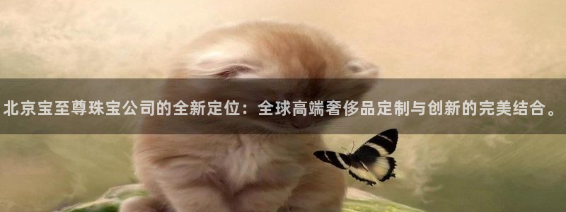 新宝5线路登录：北京宝至尊珠宝公司的全新定位：全球高端奢侈品定制与创新的完美结合