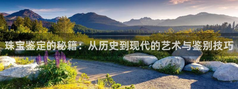 新宝5测试：珠宝鉴定的秘籍：从历史到现代的艺术与鉴别技巧