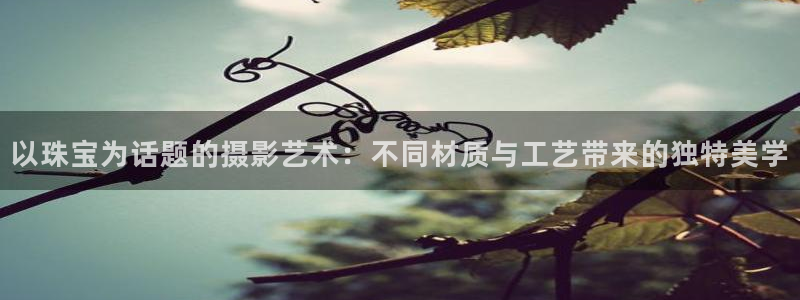 新宝奇迹GG5：以珠宝为话题的摄影艺术：不同材质与工艺带来的独特美学