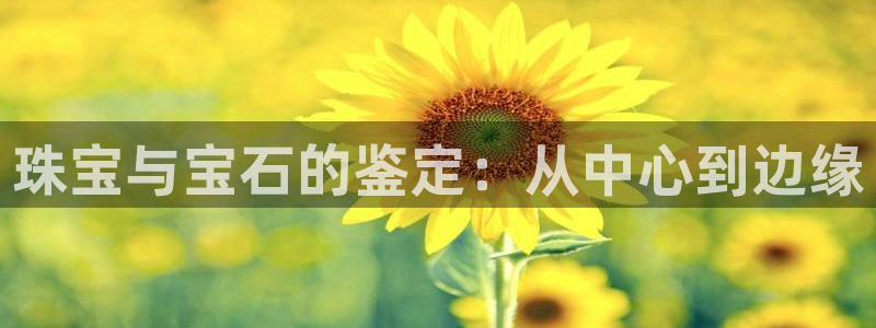 新宝5官网67五壹叁八：珠宝与宝石的鉴定：从中心到边缘