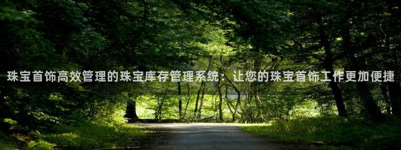 新宝5 唯一：珠宝首饰高效管理的珠宝库存管理系统：让您的珠宝首饰工作更加便捷