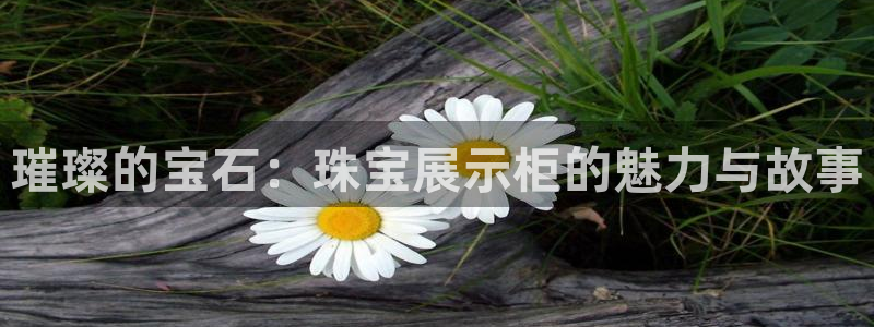 新宝5上来77542：璀璨的宝石：珠宝展示柜的魅力与故事