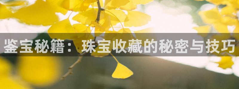 新宝5娱乐如：鉴宝秘籍：珠宝收藏的秘密与技巧