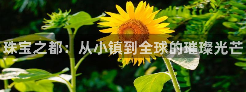 新宝5app：珠宝之都：从小镇到全球的璀璨光芒
