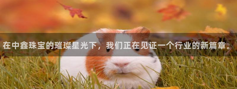 新宝5app：在中鑫珠宝的璀璨星光下，我们正在见证一个行业的新篇章。