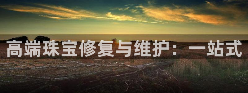 新宝5平台注册公司：高端珠宝修复与维护：一站式