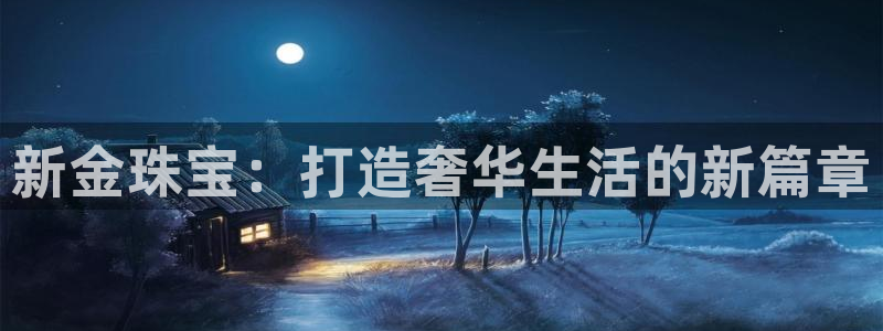 新宝5的网址：新金珠宝：打造奢华生活的新篇章