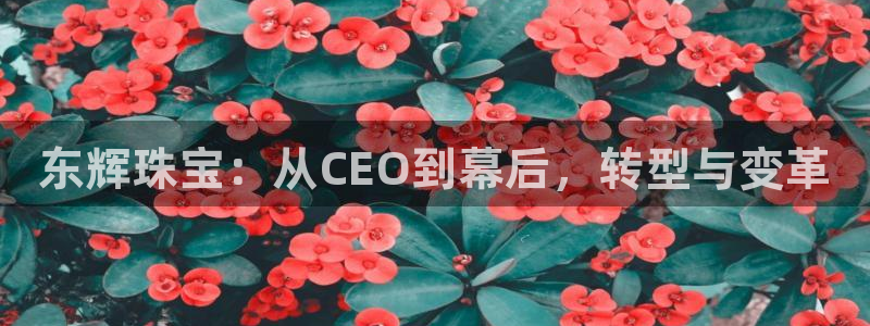 新宝5天：东辉珠宝：从CEO到幕后，转型与变革