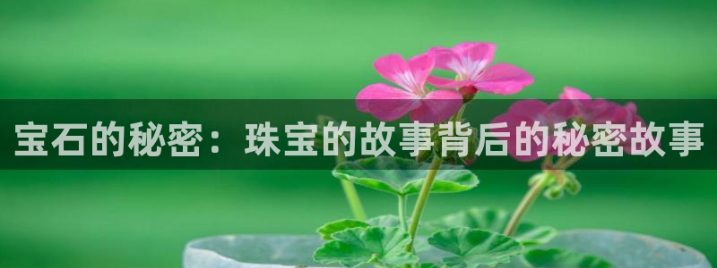 新宝5如何下载：宝石的秘密：珠宝的故事背后的秘密故事
