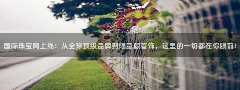 2022新宝骏rs 5：国际珠宝网上线：从全球顶级品牌到限量版首饰，这里的一切都