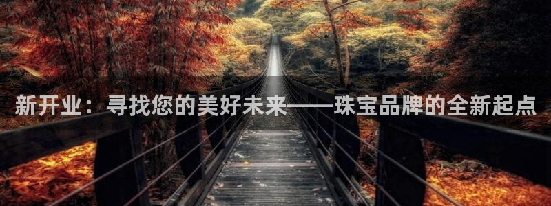 新宝5登录地址：新开业：寻找您的美好未来——珠宝品牌的全新起点