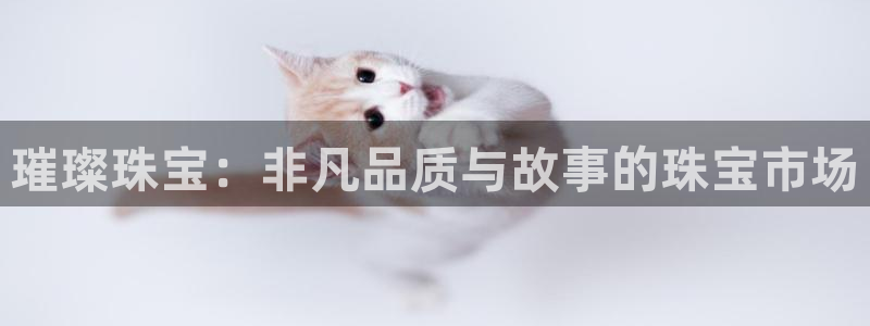 新宝5娱乐没：璀璨珠宝：非凡品质与故事的珠宝市场