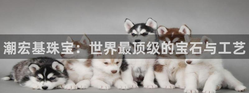 新宝5平台登录：潮宏基珠宝：世界最顶级的宝石与工艺